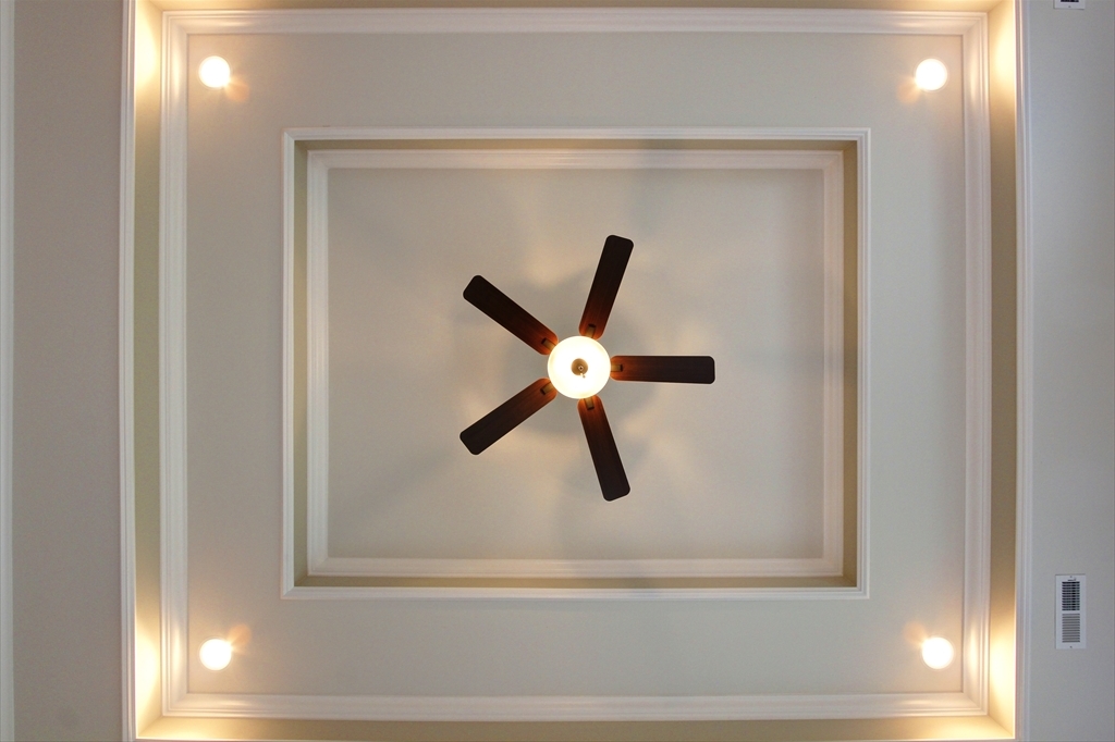 Double Trey Ceiling In Master